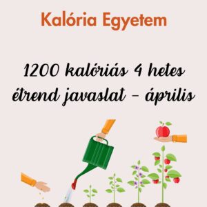 1200 kalóriás 4 hetes étrend javaslat 4.